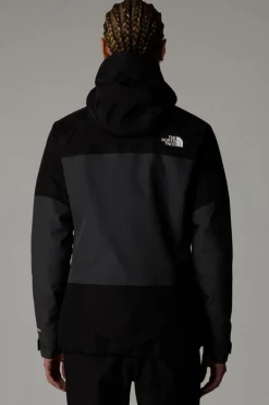 The North Face Regenjas Jazzi 3L Gore-Tex