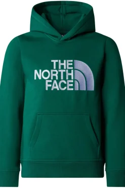 The North Face Trui B Drew Peak P/O Hoodie