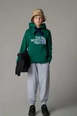 The North Face Trui B Drew Peak P/O Hoodie