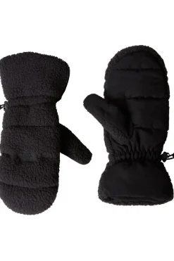 The North Face Wanten Cragmont Fleece