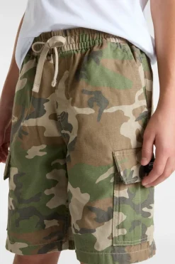 Vans Short By Range Cargo Loose Short