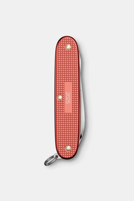 Victorinox Mes Pioneer X 93 Mm Alox Limited Edition