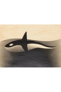 Woodhi Gadget Postcard Orca