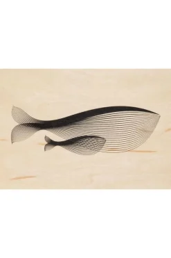 Woodhi Gadget Postcard Whale