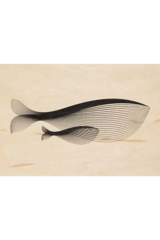 Woodhi Gadget Postcard Whale