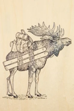 Woodhi Gadget Postcard Winter Elan