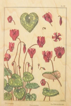 Woodhi Wenskaart Post Card Fleurs Cyclamen