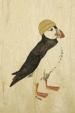 Woodhi Wenskaart Postcard Scoter