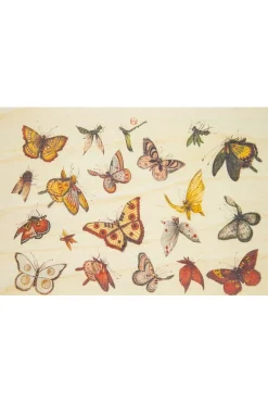 Woodhi Wenskaart  Postcard Bnf Ornements Papillons